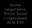 Sector cooperativo y Tercer sector internacional