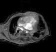 ventrículo A D * A Ao Válvula AV B C Secuencias EG 4C (A),