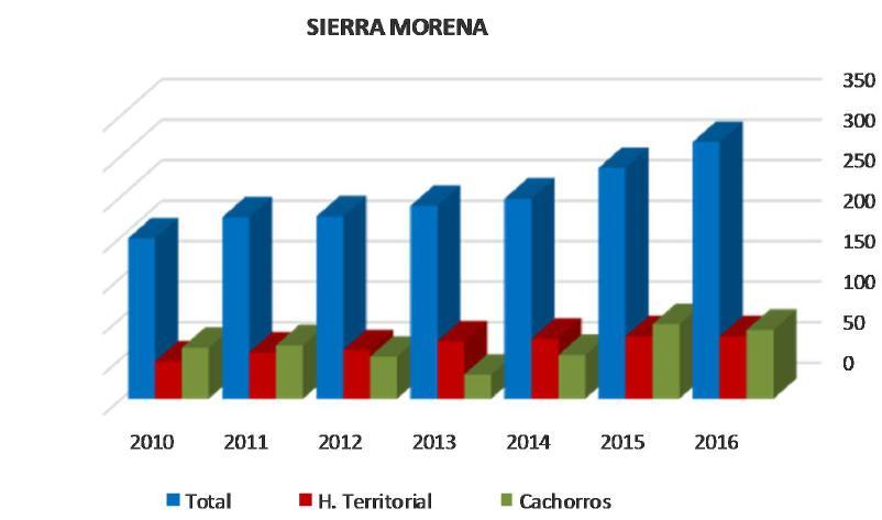 Figura 10: grafico de la población lincera de Sierra Morena. 5.1.2.5. Doñana y Aljarafe.