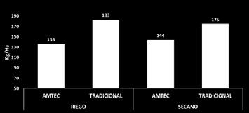 últimos años algunas enfermedades como añublo del arroz (Pyricularia oryzae) han cobrado especial importancia (Figura 8). Costos por Tonelada.