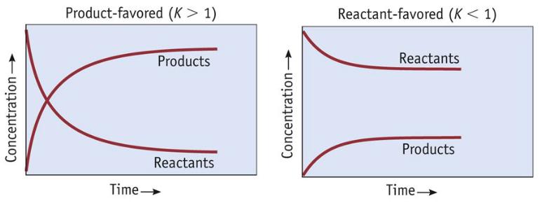 6 Constant d equilibri Magnitud de la constant d equilibri El valor numèric de la constant d equilibri informa del sentit de la reacció.