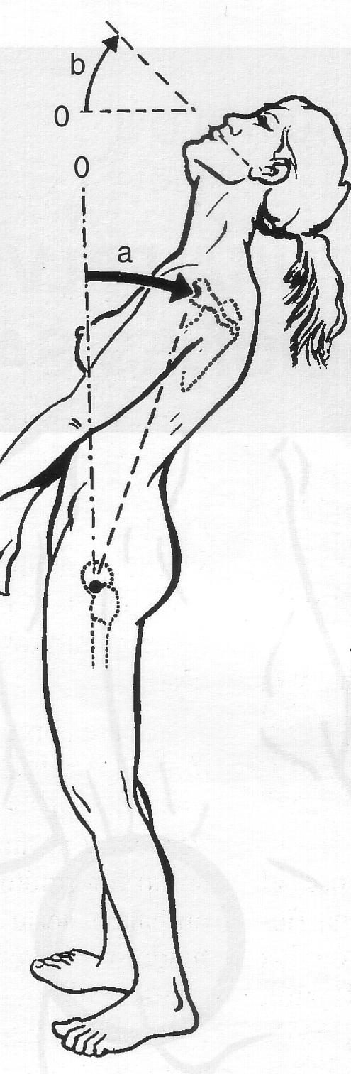 01/06/2014 EXTENSIÓN Las vértebras se inclinan hacia atrás Los ligamentos anteriores se tensan.