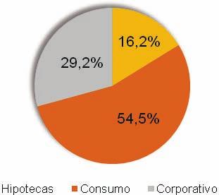 La cartera de préstamos al sector privado, se compone en un 70,8% de préstamos para el consumo y vivienda (54,5% consumo y 16,2% vivienda) y un 29,2% de préstamos comerciales, reflejando así el