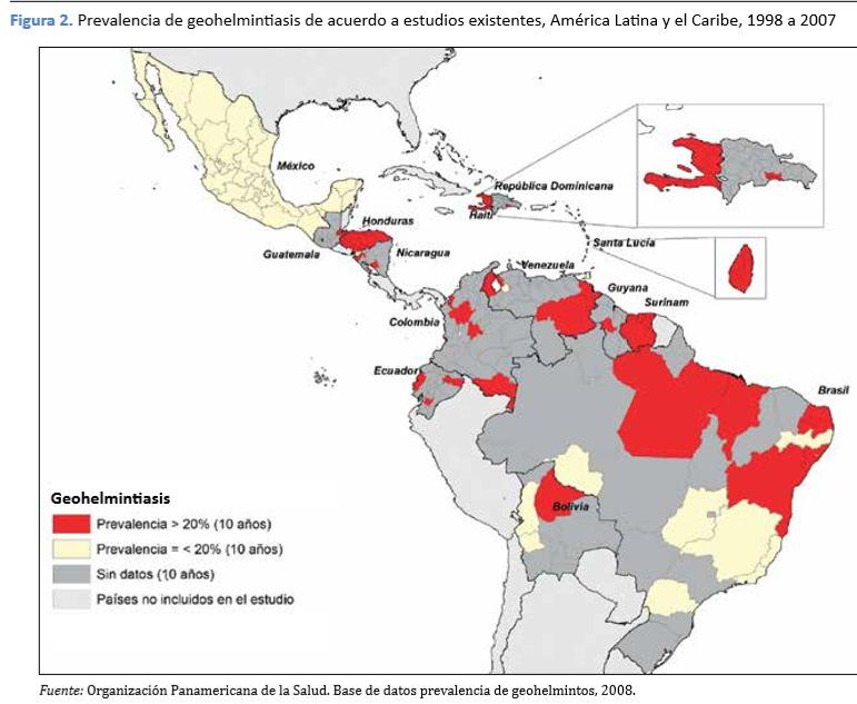 Situación de la Geohelmintiasis en América Latina y El Caribe 1 de cada 3personas está infectada Cerca de 46 millones de niños entre 1 y 14 años en edad