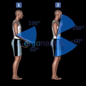 Tabla 3: del antebrazo. A un lado del cuerpo +1 Cruza la línea media +1 Tabla 4: Modificación de la puntuación del antebrazo. Figura 5: Medición del ángulo del antebrazo.