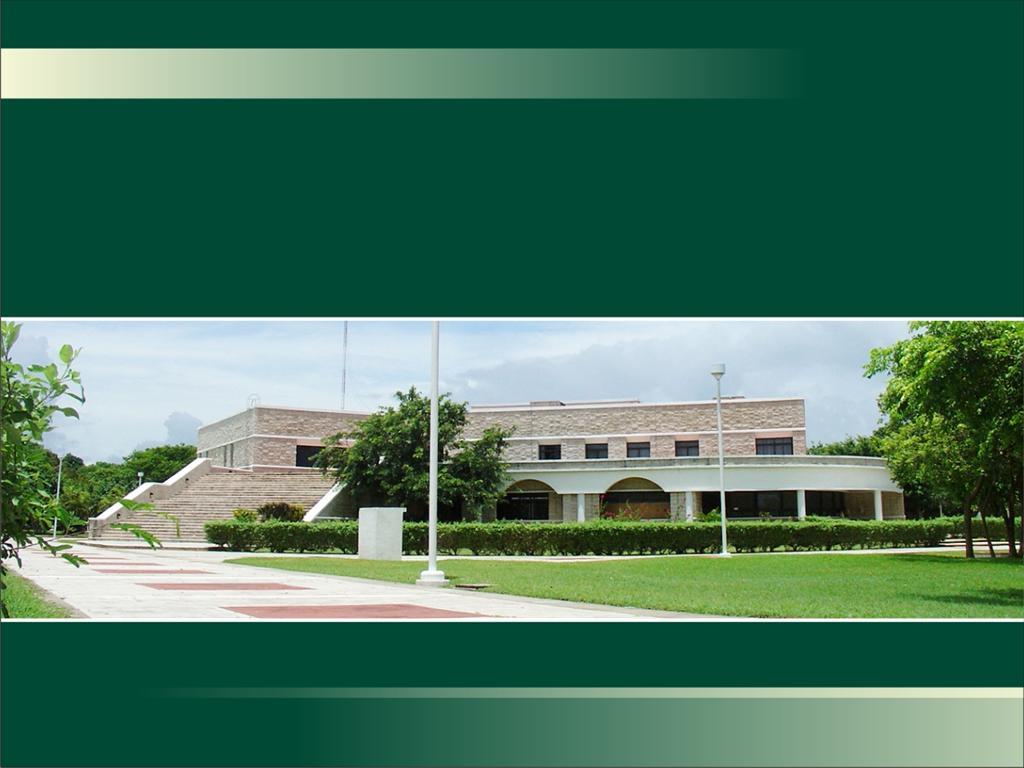 Universidad de Quintana Roo División de Ciencias Sociales y Económico Administrativas