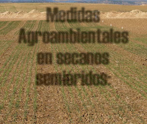 Los resultados obtenidos demuestran que los suelos de los secanos áridos se ven claramente mejorados por la aplicación correcta de las prácticas medioambientales exigidas.