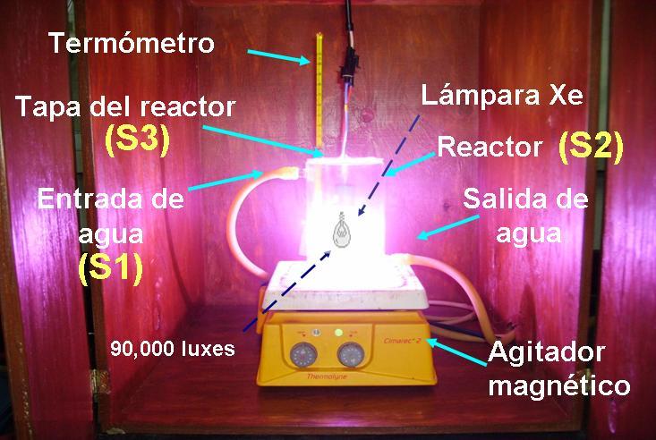 CAPÍTULO 2 EXPERIMENTACIÓN Sección 2(S2). Reactor.