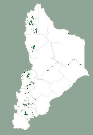 Pasto-árbol-animal (2007-2012) Minas 12.718ha (26.9%) Neuquén 47.