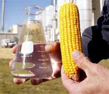 El creciente uso de los cereales y de las semillas de oleaginosas para producir etanol y biodiesel, representa un importante desafío para el sector pecuario en lo que respecta a la competencia por