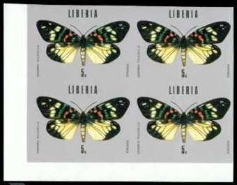 Lepidoptera : Uraniidae : Chrysiridia