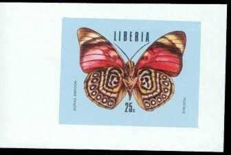 Lepidoptera : Erasmia pulchella.