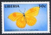1998 Abril 6 : Mariposas (8