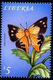 2001 Agosto 16 : Mariposas (4