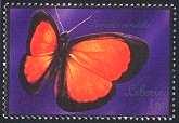 Lepidoptera : Papilionidae :