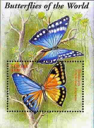 Uraniidae + Lepidoptera : Papilionidae + Lepidoptera : Nymphalidae +