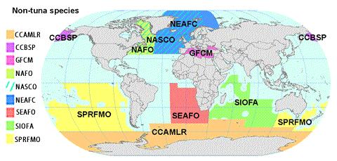 q ORPs No-Túnidos NEAFC - Comisión de Pesca del Atlántico Nordeste (CPANE) NAFO - Organización de la Pesca del Atlántico Noroccidental NASCO - Organización para la Conservación del Salmón del
