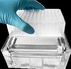 muestras fabricado con poliestireno virgen absolutamente claro de alta calidad Opciones de Filtro SC FP Características del filtro de fibra de vidrio (GF) recomendado para la purificación del ADN y