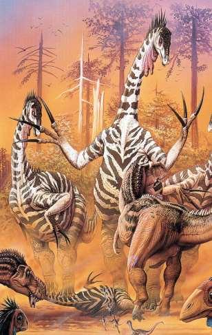 Tetanuros derivados: terizinosaurios Cráneo pequeño y cuello largo Garras de las manos de tamaño desproporcionado y