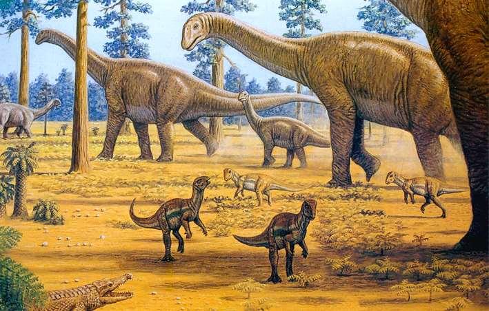 Sauropoda Los mayores organismos terrestres Dientes