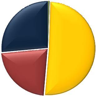 3,47% 94,85% 96,53% Composición por