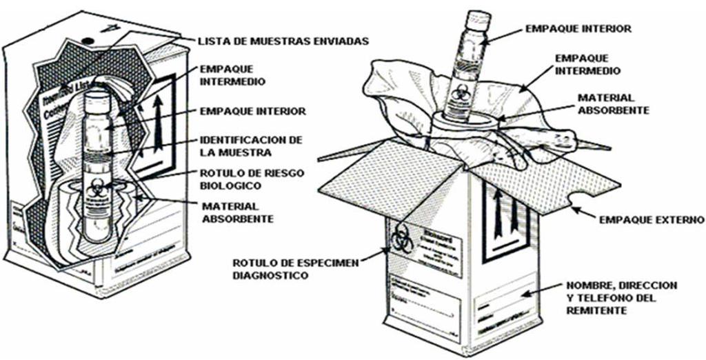 TRASLADO DE MUESTRAS (CULTIVOS) Sistema de Triple Embalaje Envase Primario (muestra) Embalaje secundario (hermético) Embalaje