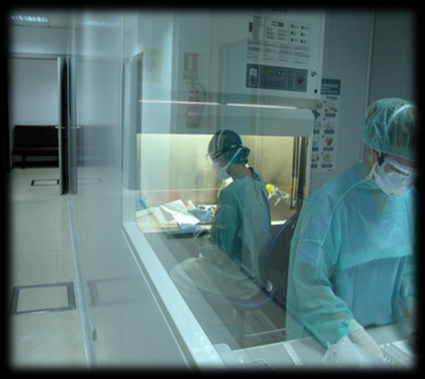 LABORATORIO DE MICOBACTERIAS Áreas de Laboratorio: Técnica Administrativa Microscopia Preparación, lavado y descontaminación de material Medidas de