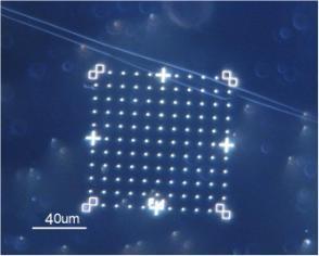 epitaxial graphene suitable
