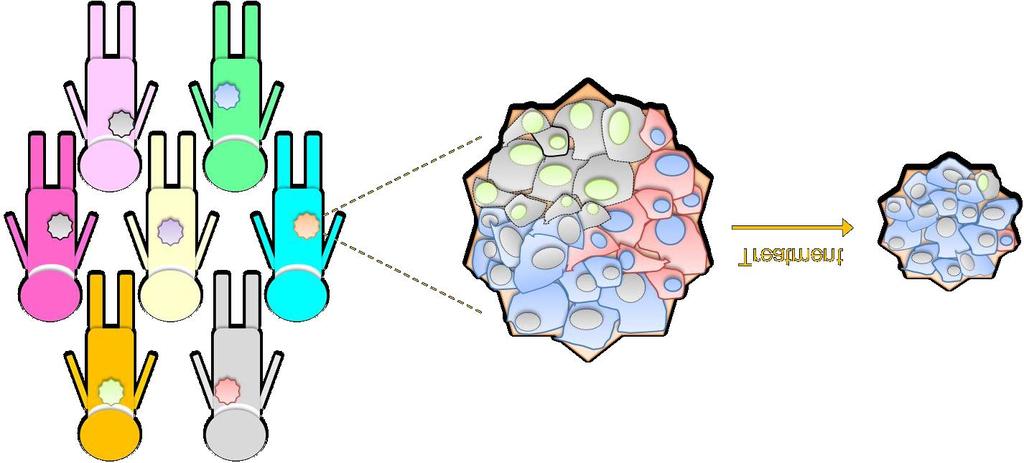 Tissue vs ctdna The issue with tissue: heterogeneity