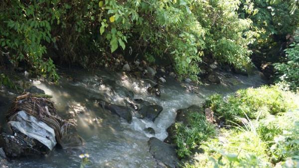 Problemática En la ciudad de Córdoba, Veracruz se encuentran algunos de los ríos más importantes del estado, pero éstos presentan niveles