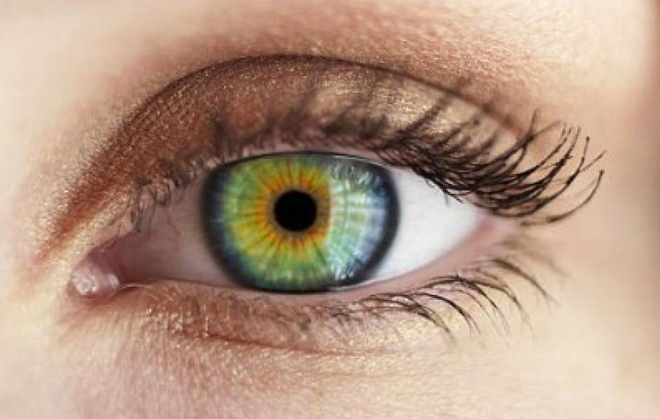 Eye colour: portals into pigmentation genes
