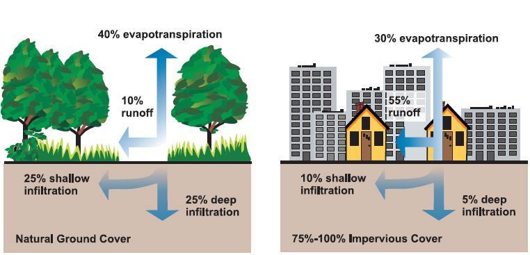 Forests versus Cities Bosques versus Ciudades 40% evapotranspiration 40% evapotranspiración 30% evapotranspiration 30% evapotranspiración 10% runoff 10% escorrentía 55% runoff 55% escorrentía 25%