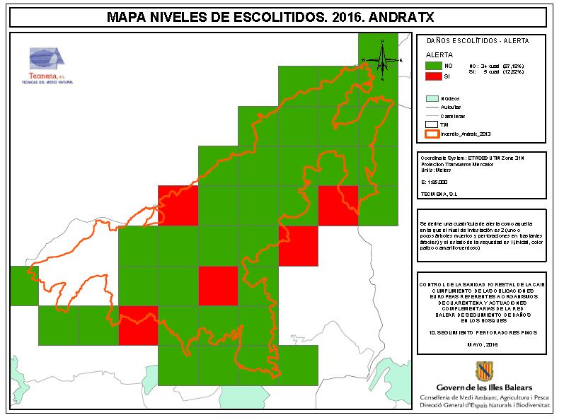 Mapa de ALERTA en zona del incendio de Andratx Conclusiones: En general, la elevada mortalidad de pies viene asociada directamente al debilitamiento generado tras el incendio y al ataque oportunista