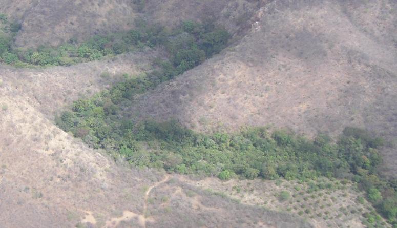(14/04/2003); (d) vista aérea del tramo de río y zona para modelación (31/01/2005). Foto: S. Alvarado, 2005.