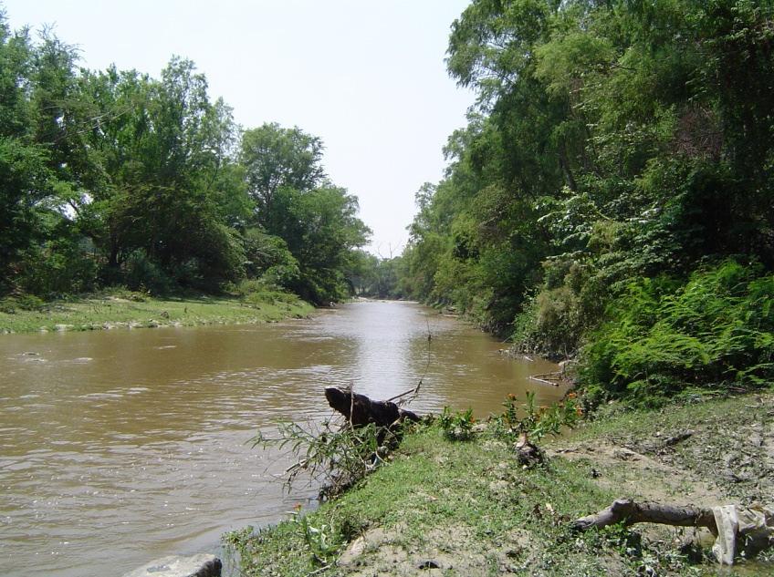 Figura 2.1. Vista de la zona de ribera en el Río Pasabién, región semiárida del Valle del Motagua, Guatemala. Foto: M. Morales (2005).