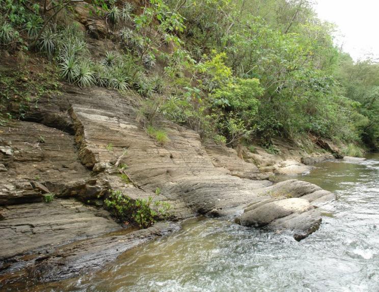 Figura 7.32. Bosque seco colindante con el río desarrollado en zonas de ribera con presencia de capa rocosa limitante para la profundización del sistema radicular.