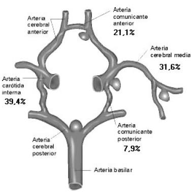1. Ramas de la Arteria Carótida Interna (250).