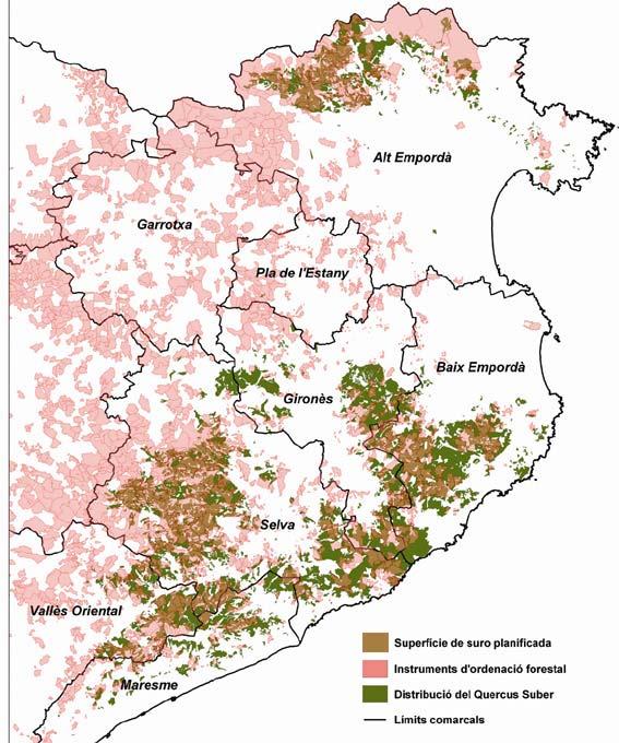 Los alcornocales en Catalunya Superfície forestal de alcornocal: 124.132 ha (Fuente: IFN4) Superfície en la que el Q. Suber se presenta como especie principal: 69.