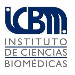 Universidad de Chile, Facultad de Medicina, ICBM Programa de Biología Celular y Molecular Transcripción