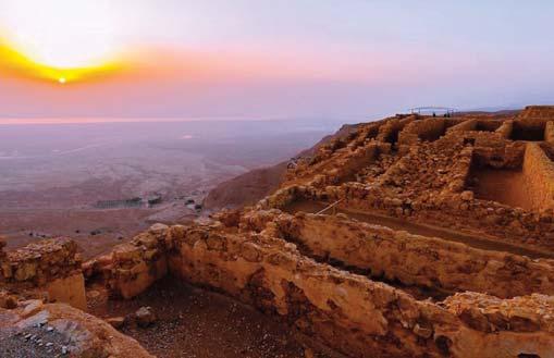 Día 17: Martes Petra Ammán (Desayuno, Cena) Desayuno buffet. Salida hacia la Ciudad Rosa, capital de los Nabateos y confirmada como una Maravilla del Mundo en el año 2007.