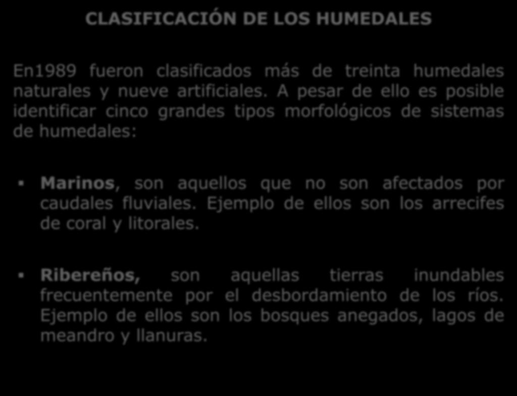 CLASIFICACIÓN DE LOS HUMEDALES En1989 fueron clasificados más de treinta humedales naturales y nueve artificiales.