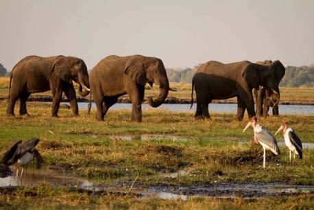 La Reserva de Moremi forma parte y cubre una tercera parte del Delta del Okavango, el cual está localizado en el cuadrante noroeste de Botswana, conocido como Ngamiland.