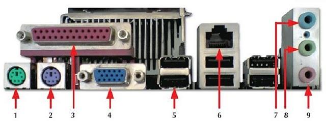 Actividad 6. Tema 5 6.- Responde las siguientes preguntas: 1. Identifica los conectores que se encuentran en el panel lateral de la placa que utiliza tu ordenador.