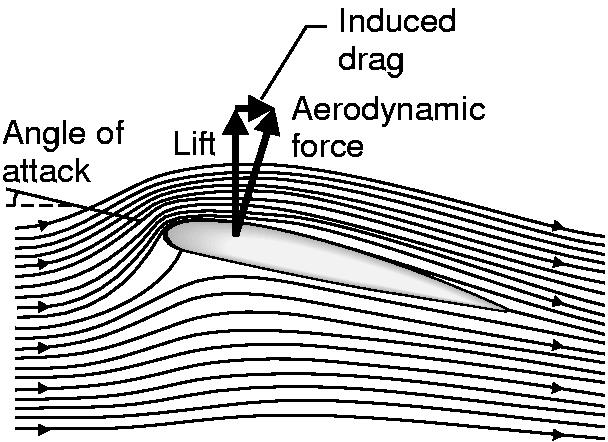Líneas de corriente alrededor de un ala En el sistema de referencia del avión, el aire se mueve hacia él.