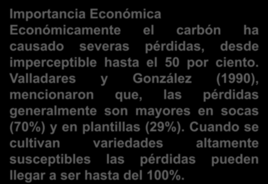 Valladares y González (1990), mencionaron que, las pérdidas generalmente son mayores