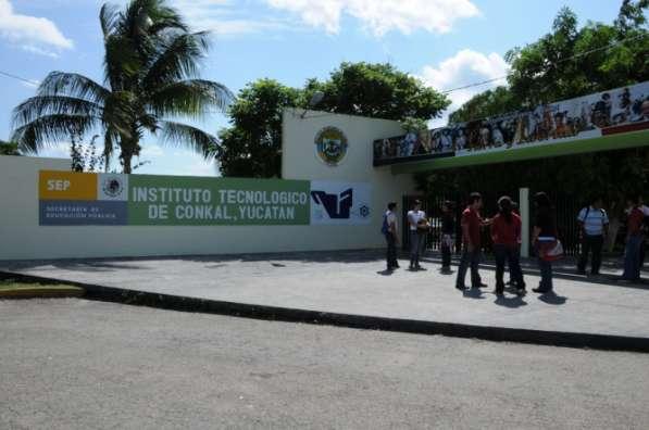 Microorganismos antagónicos e inductores del crecimiento en la producción de hortalizas en Yucatán, México