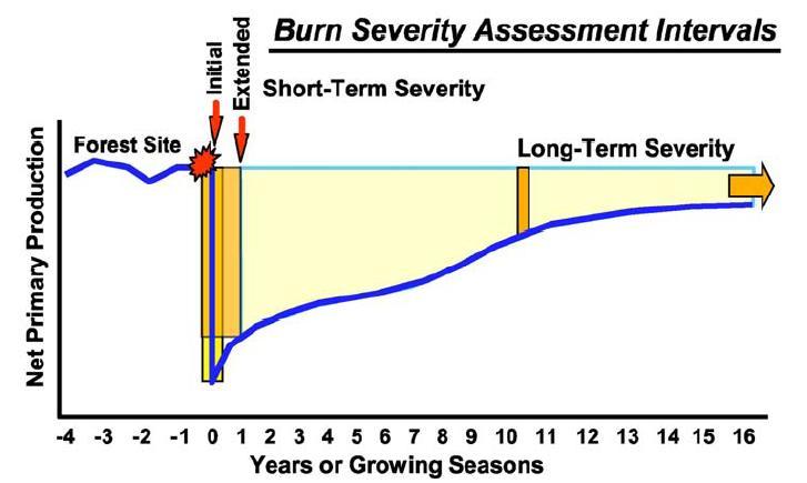 La severidad del fuego Key, C.H. y Benson, N.C. (2006). Landscape Assessment (LA). In Lutes, D.C., Keane, R.E.