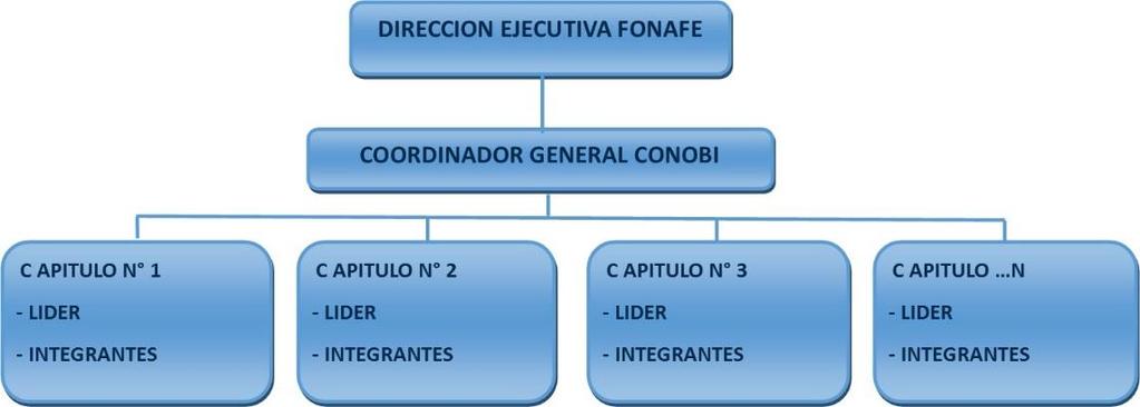 La Dirección Ejecutiva de FONAFE será la encargada de designar al Coordinador del CONOBI y sus integrantes, estos últimos en coordinación con las empresas, así como al líder de cada capítulo; y, de