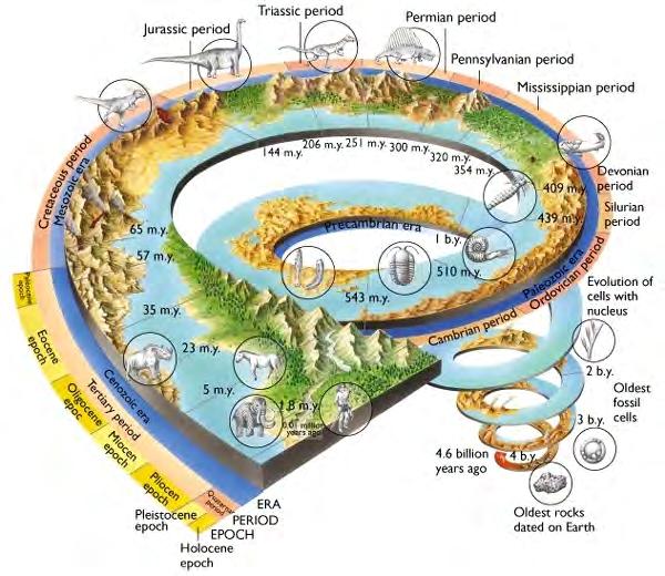 El Aempo en Geología La mayoría de los procesos que Aenen lugar en la Tierra son lentos, desarrollándose en intervalos de millones de años Se trata de una dimensión