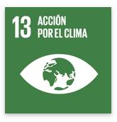 85 C. El ODS 13 busca fortalecer la capacidad de resiliencia y de adaptación a los peligros